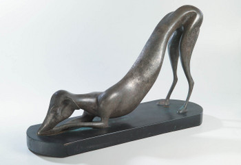 Italian Greyhound