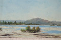 Hinemoa's Island from Postmaster Bath