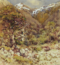 Near the Hermitage, Mt Cook