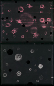 Untitled (diptych)