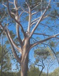 Tree Study #1