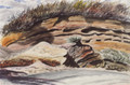 Desert Road