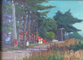 Narrow Neck, Auckland
