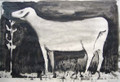 Untitled - Sheep