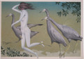 Anthropomorphic Hallucination