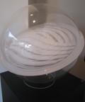 Addorsed ascending/descending rings