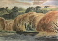 Golden Willows, Waikanae 
