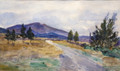 Canterbury Landscape