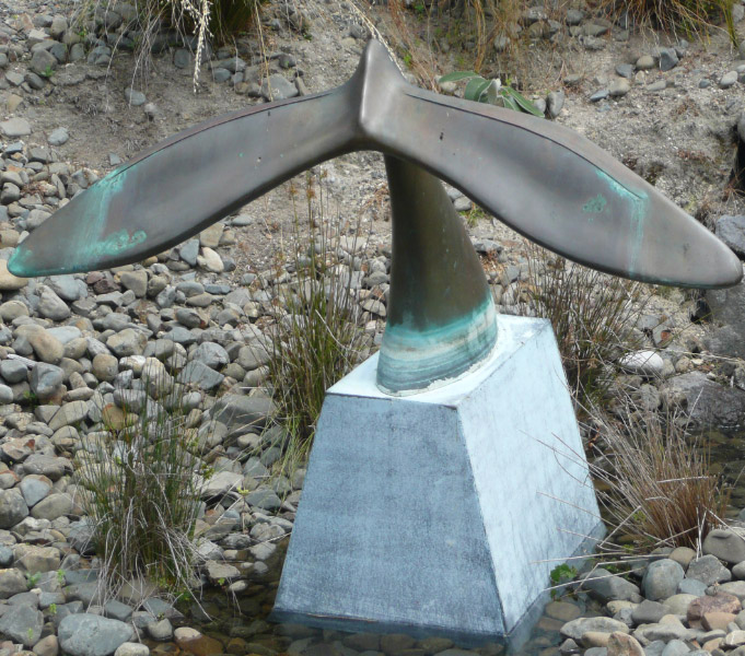 Tail of the Whale
