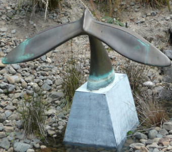 Tail of the Whale