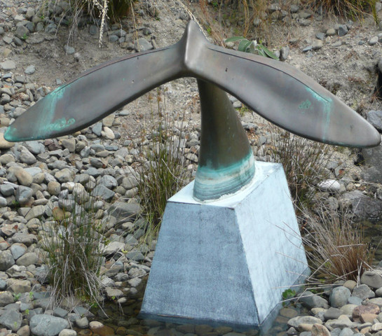 Tail of the Whale