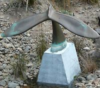 Tail of the Whale