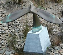Tail of the Whale