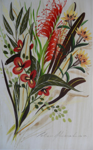 Study of Australian Wildflowers I