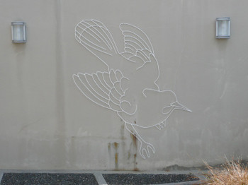 Huia (Lost Generation Series)